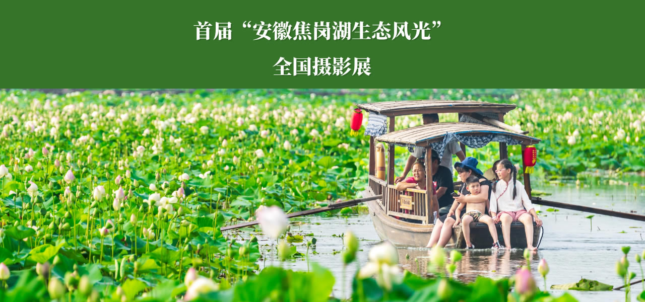 首届“安徽焦岗湖生态风光”全国摄影展